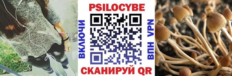 Купить  Карпинск  Галлюциногенные грибы Psilocybine cubensis 
